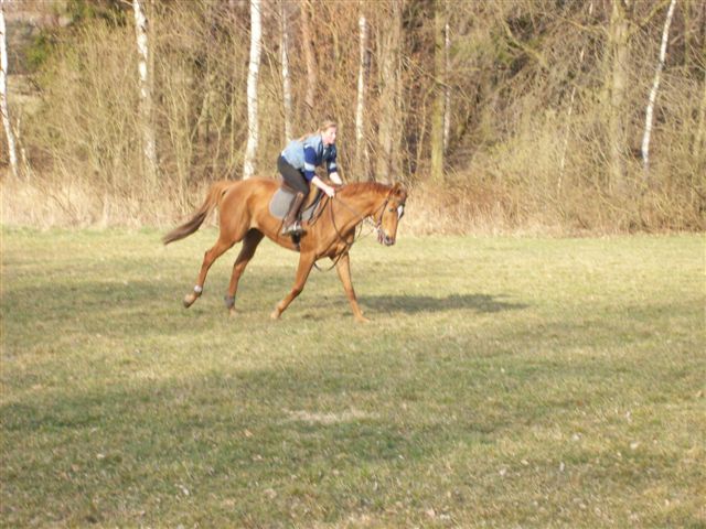 100_0403.jpg