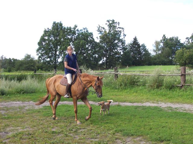 100_0482.jpg