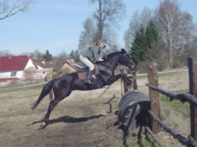 100_2268.jpg