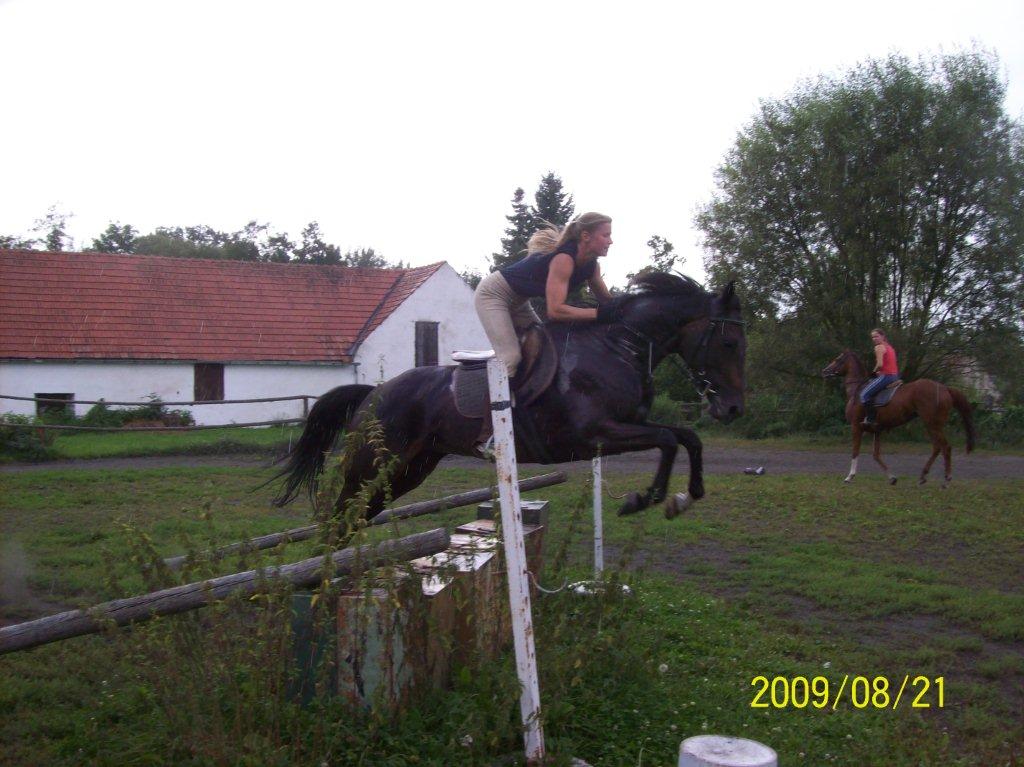 243_-_Kopie.jpg