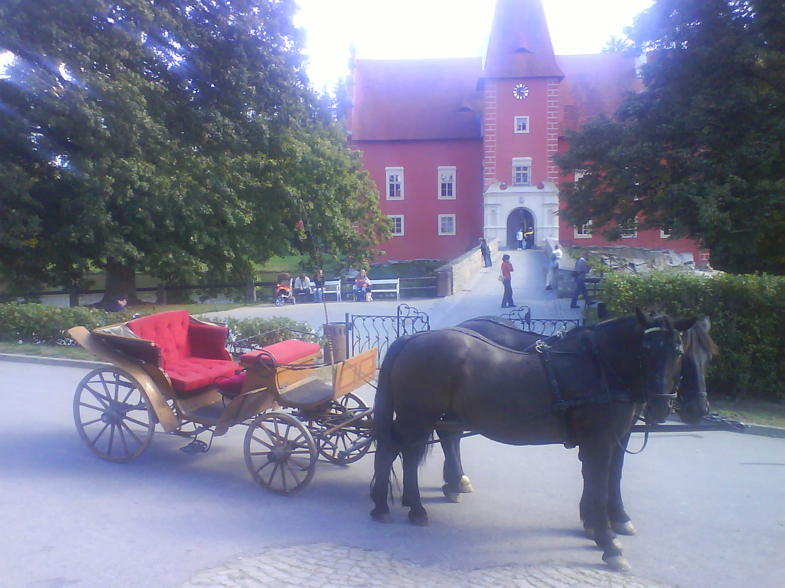 166.JPG